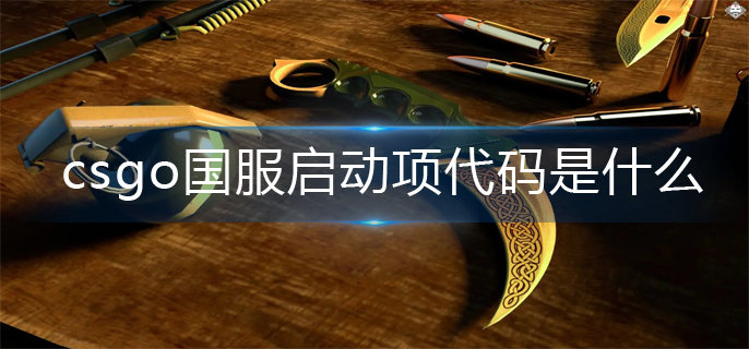 csgo国服启动项代码是什么-国服启动项代码分享