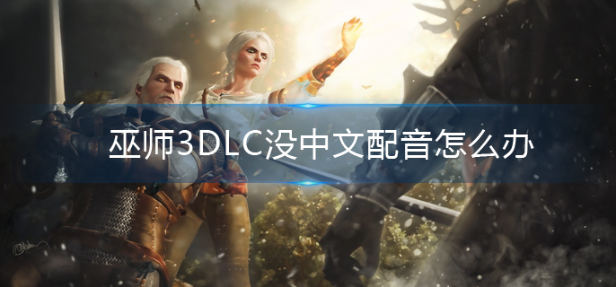 巫师3DLC没中文配音怎么办-巫师3DLC没中文配音解决方法