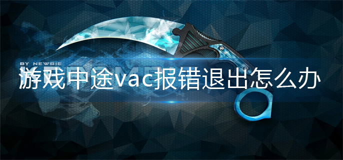 csgo游戏中途vac报错退出怎么办-游戏中途vac报错退出解决办法