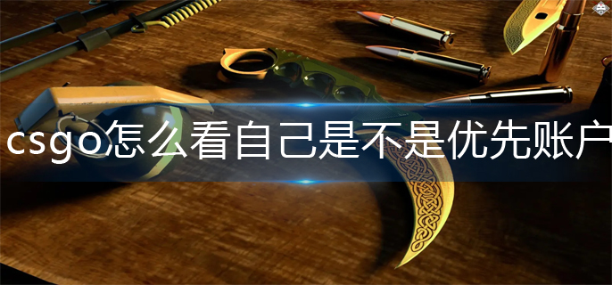 csgo怎么看自己是不是优先账户-优先账户查看方法